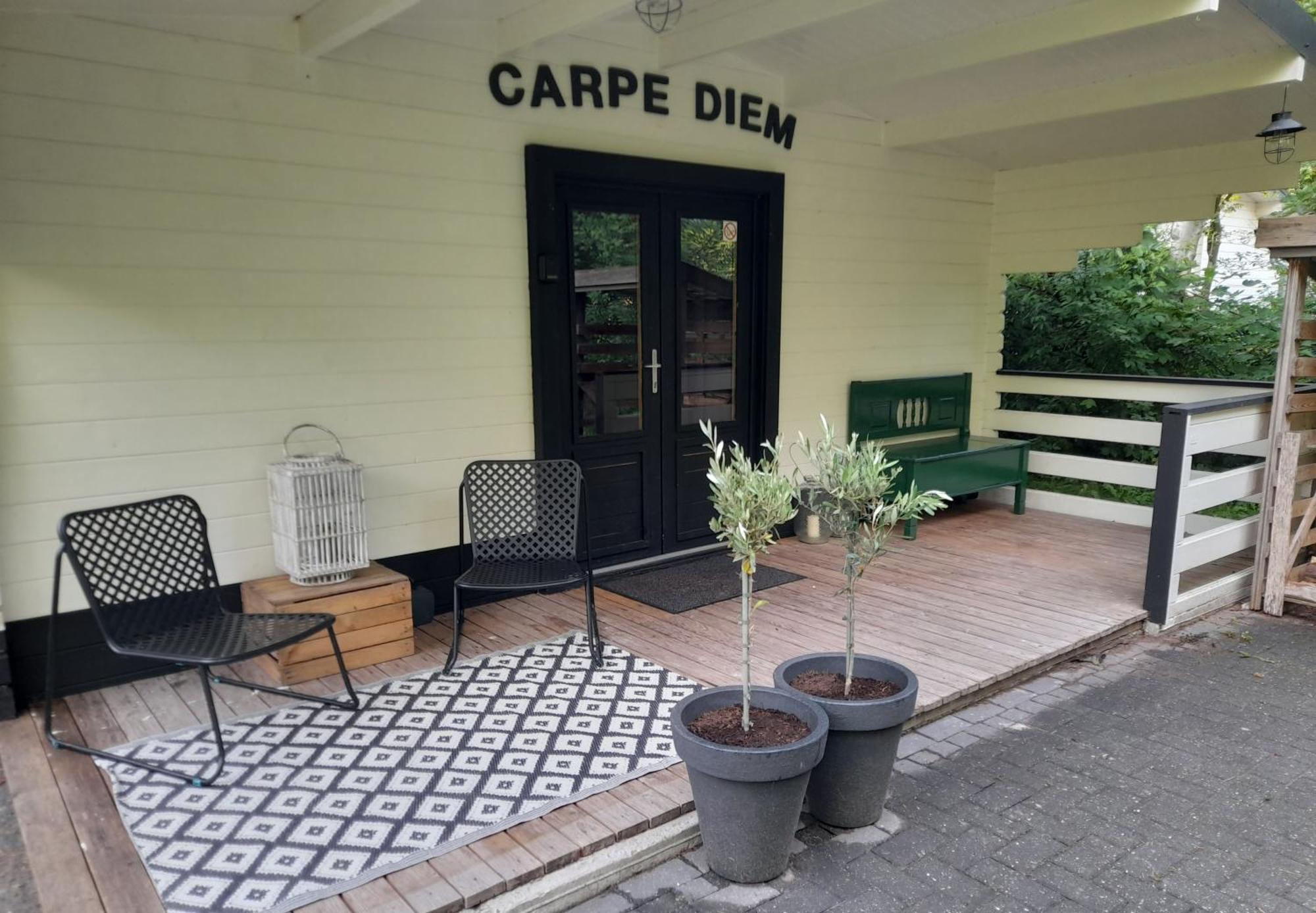 Carpe Diem, Het Ruime Chalet Met Houtkachel Nabij Wildlands Emmen Schoonebeek Room photo